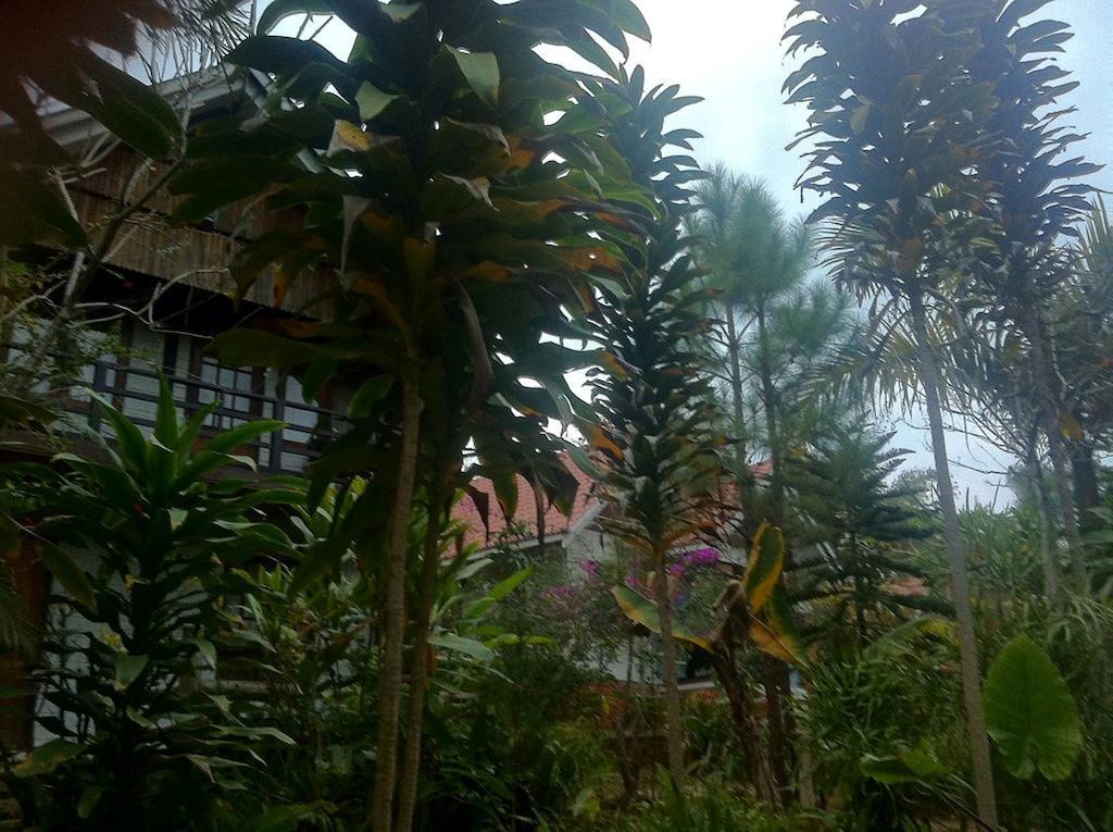 Nature Land Hotel Kalaw Eksteriør billede